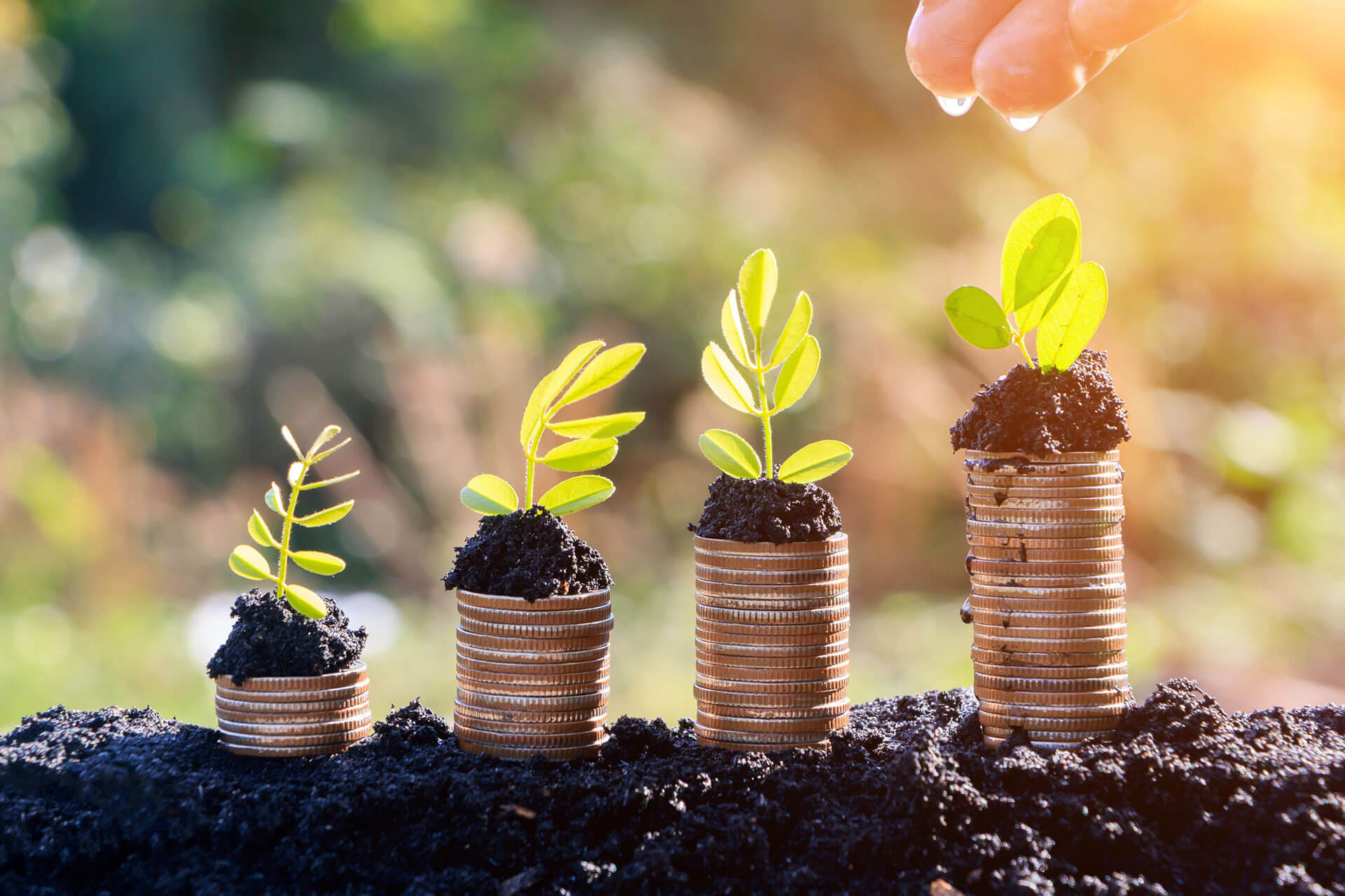 جمعية الخدمات الأجتماعية بالزرق